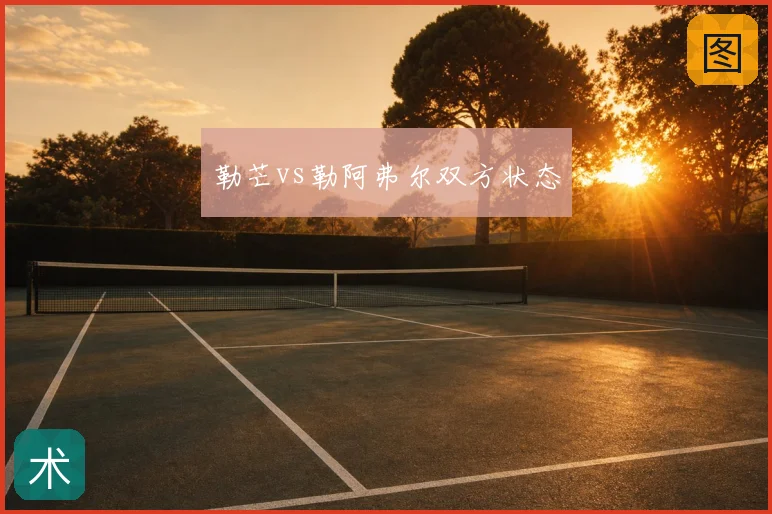 勒芒vs勒阿弗尔双方状态